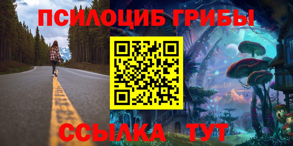 Псилоцибиновые грибы Psilocybe  Вход с VPN  Сосновоборск  Псилоцибиновые грибы мицелий 